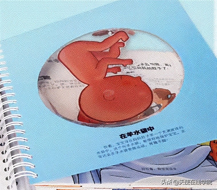 给孩子讲性教育的绘本,怎样通过绘本灌输性教育