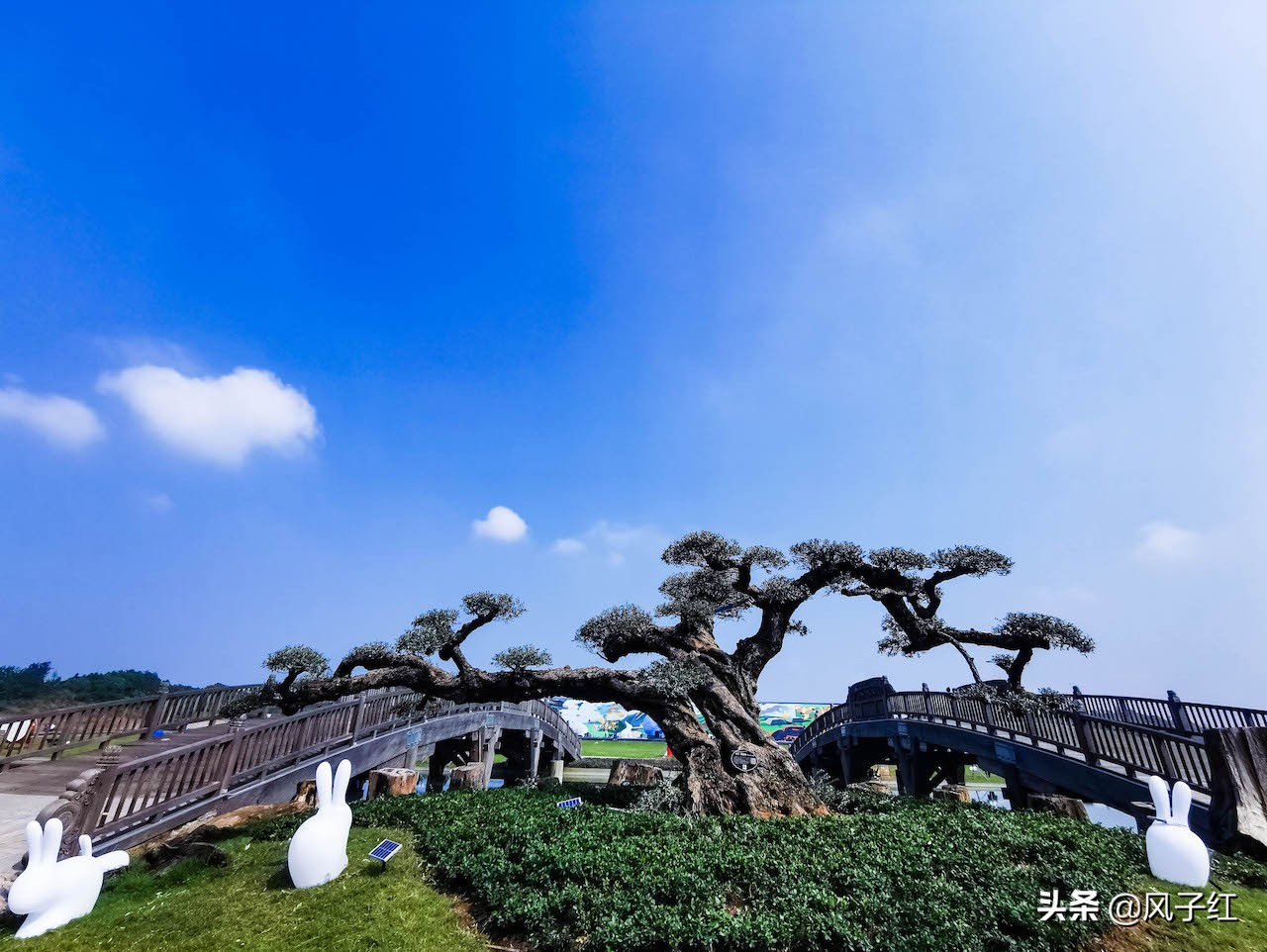 浙江最大的红木小镇,浙江最好的红木小镇