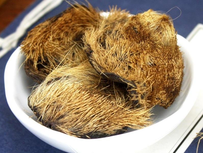 麝香开窍醒神作用机理,麝香可以开窍醒神吗