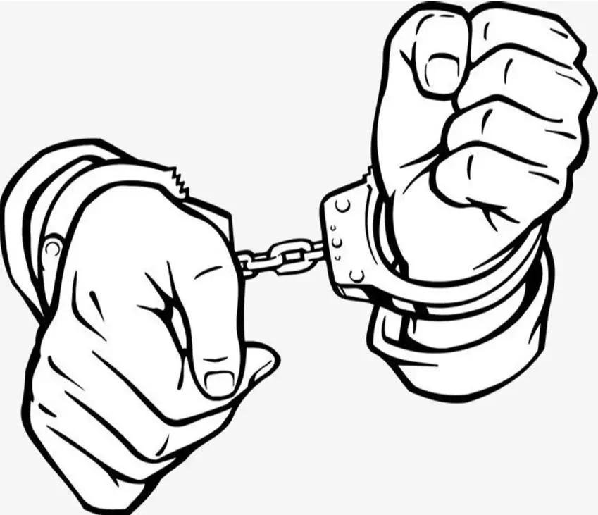 他带着冰葡萄创业梦想，没有走进现实，而是走进了...