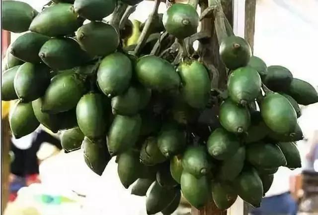 劝别人不要吃槟榔,偶尔吃槟榔有事吗