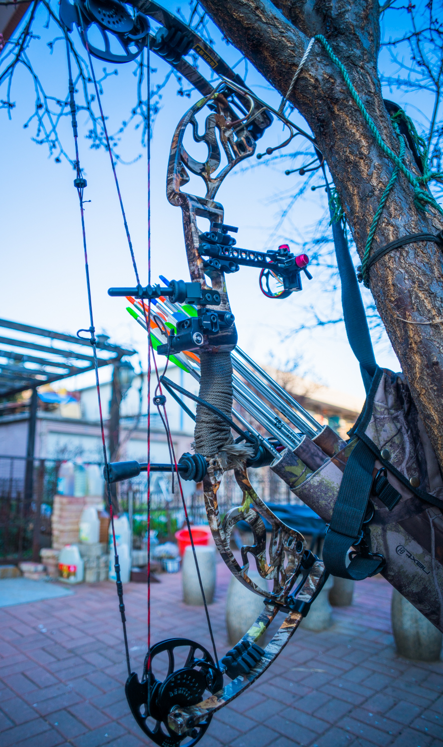 现代复合弓拿什么拉箭,话说现代