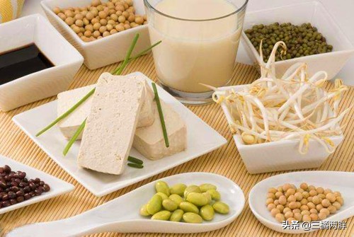 金毛长高的最佳方法,金毛如何提升智商