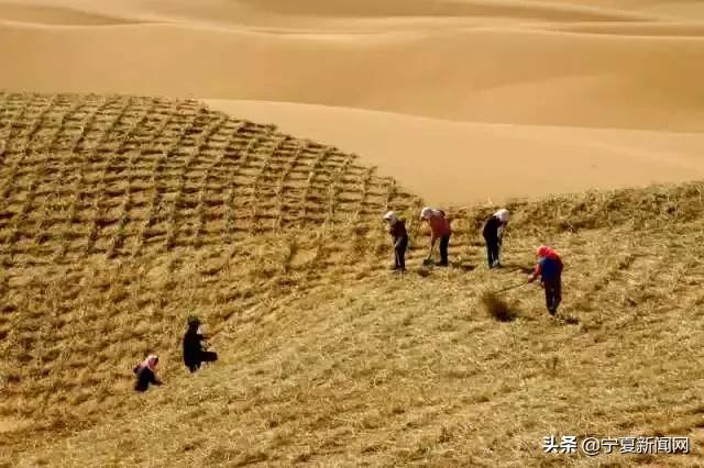 70年·夸夸我的城｜中卫：闻者向往来者依恋居者自豪