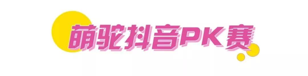 少女心爆炸,千只萌驼空降大坂田,领10000份羊驼潮趣礼品