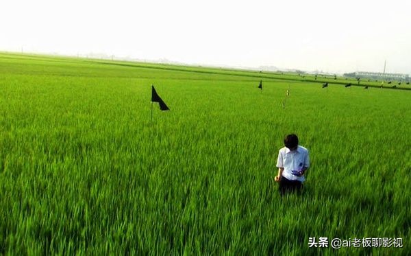 最经典日本青春电影,盘点知名日本青春电影