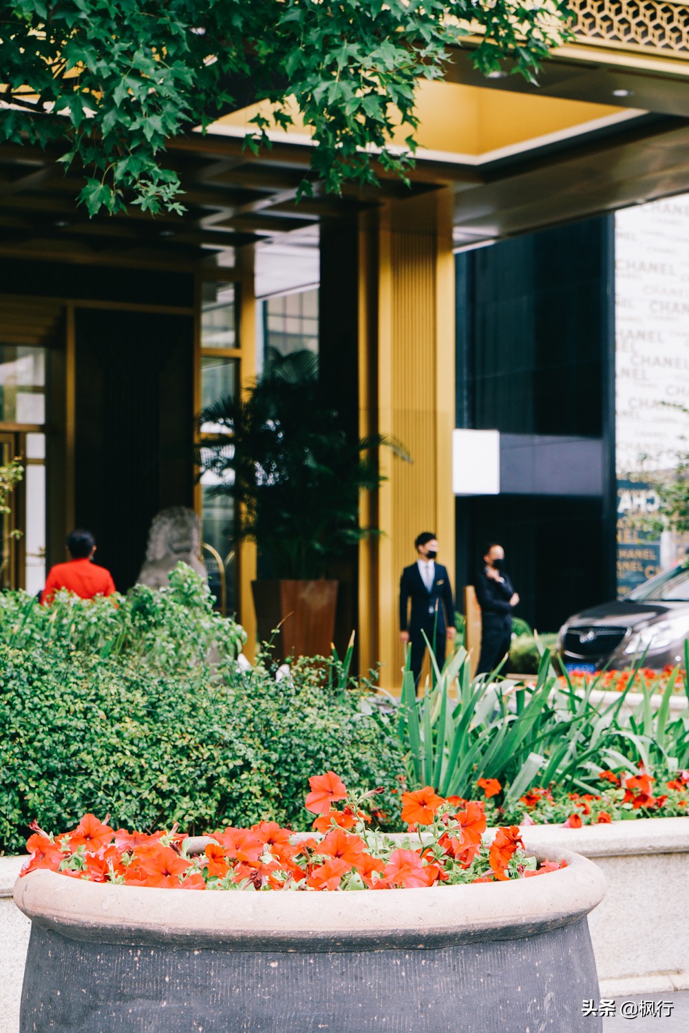 豪华王府饭店的餐厅周菜单，颜值高如帅主厨，老百姓也消费得起