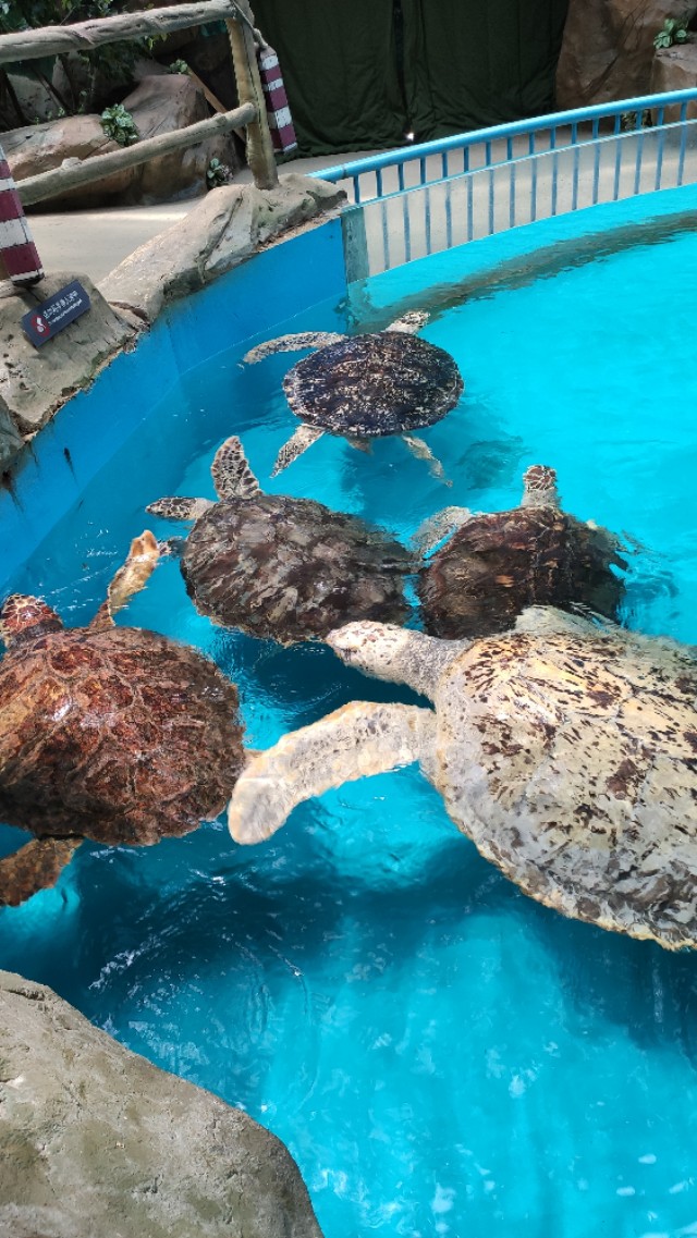 福州欧乐堡海洋世界家庭套票团购,福州欧乐堡海洋世界门票价格