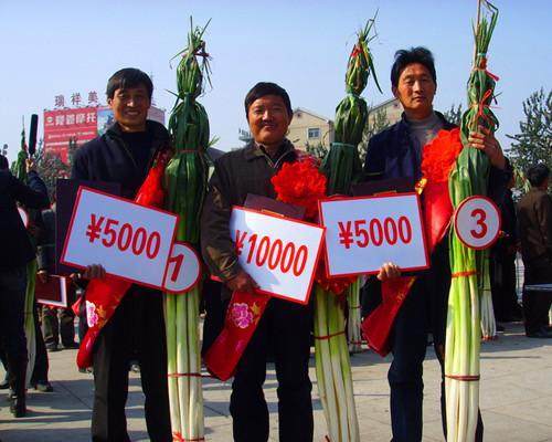 济南十大怪顺口溜,济南10大怪事