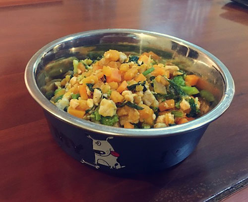 狗狗外伤露肉能自愈吗,狗狗外伤露肉腐烂要怎么处理