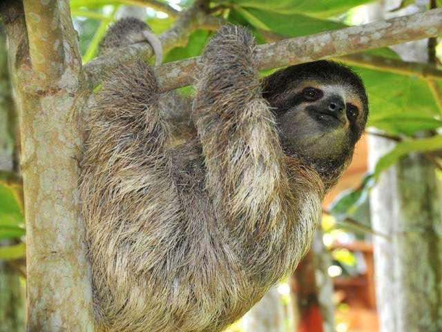 长相像外国人的汉族人,长相酷似中国人的印第安人