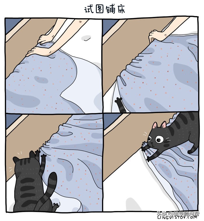 猫主子的日常暹罗猫铲屎官的乐趣,猫吸猫主子的日常