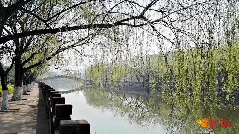 禄丰温泉一日游,禄丰晚上泡温泉地方