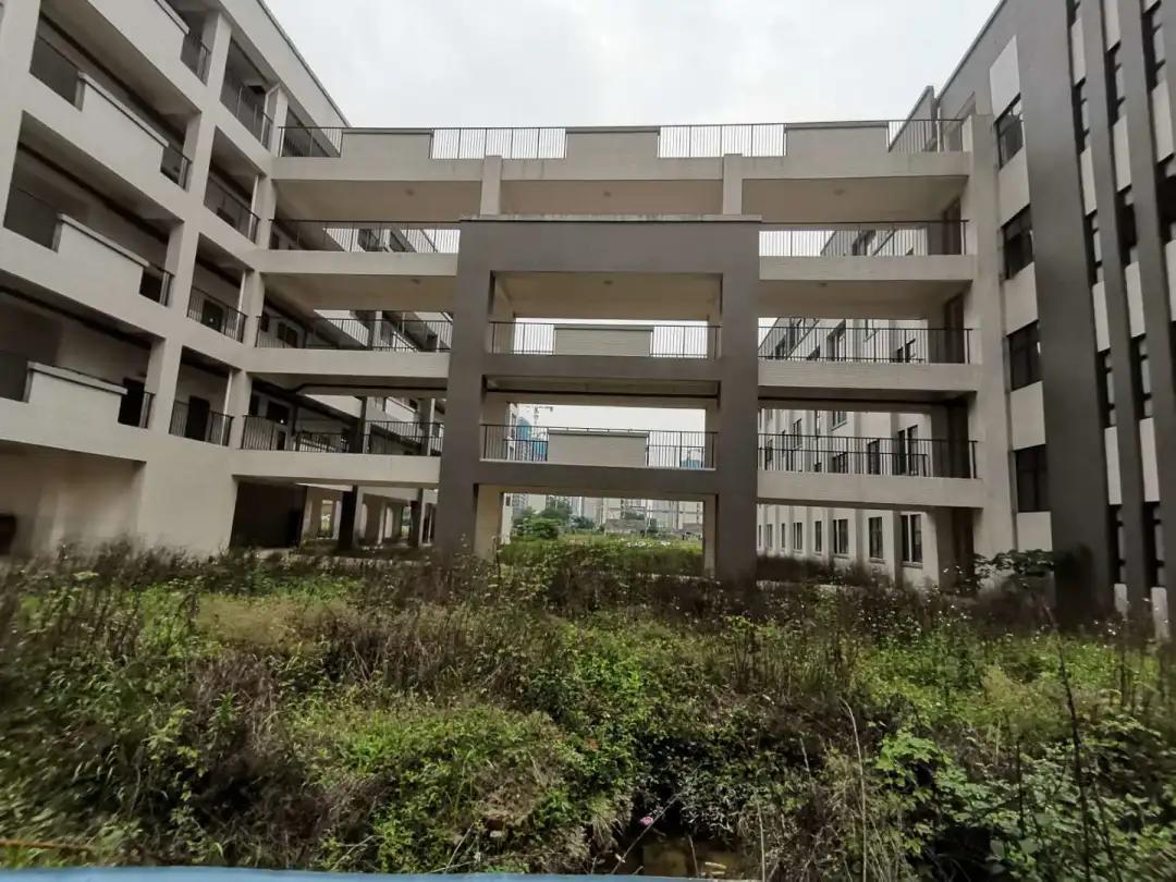 吉安各楼盘附近学校,吉安8中分校学区房