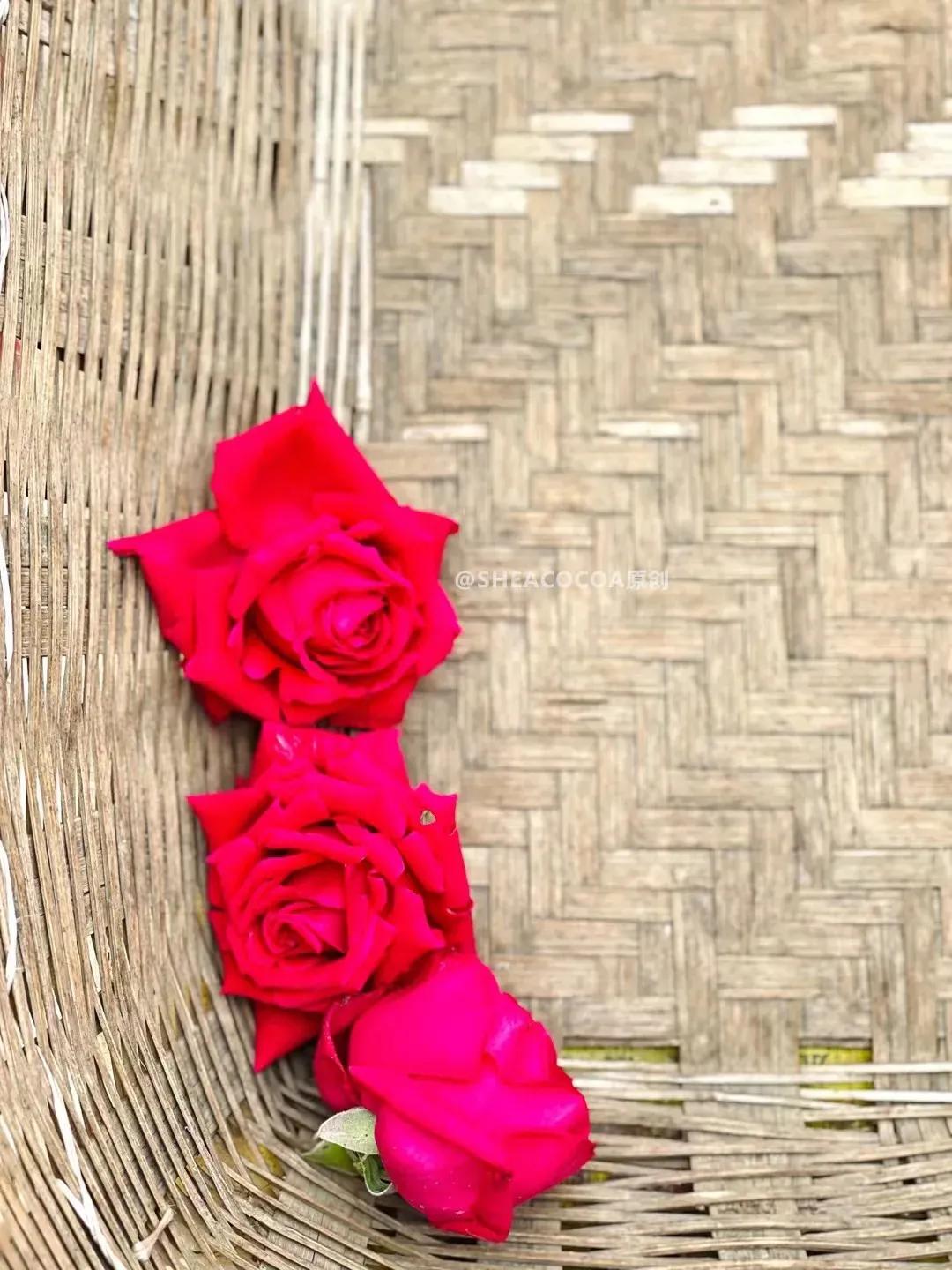 玫瑰细胞液保湿,纯天然玫瑰细胞液