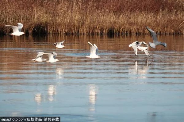 10月北京最佳小众旅行地！绝不能错过的秋色，到底有多美？
