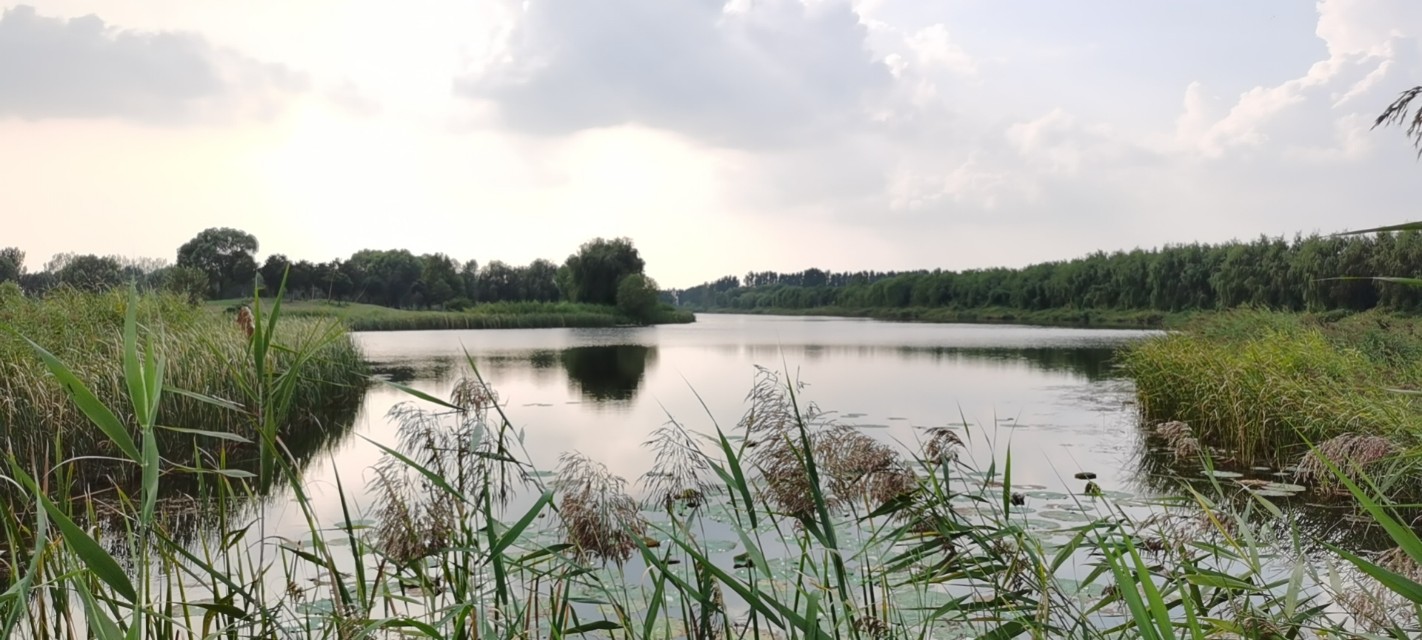 白洋淀高尔夫运动休闲公园,白洋淀美芦高尔夫