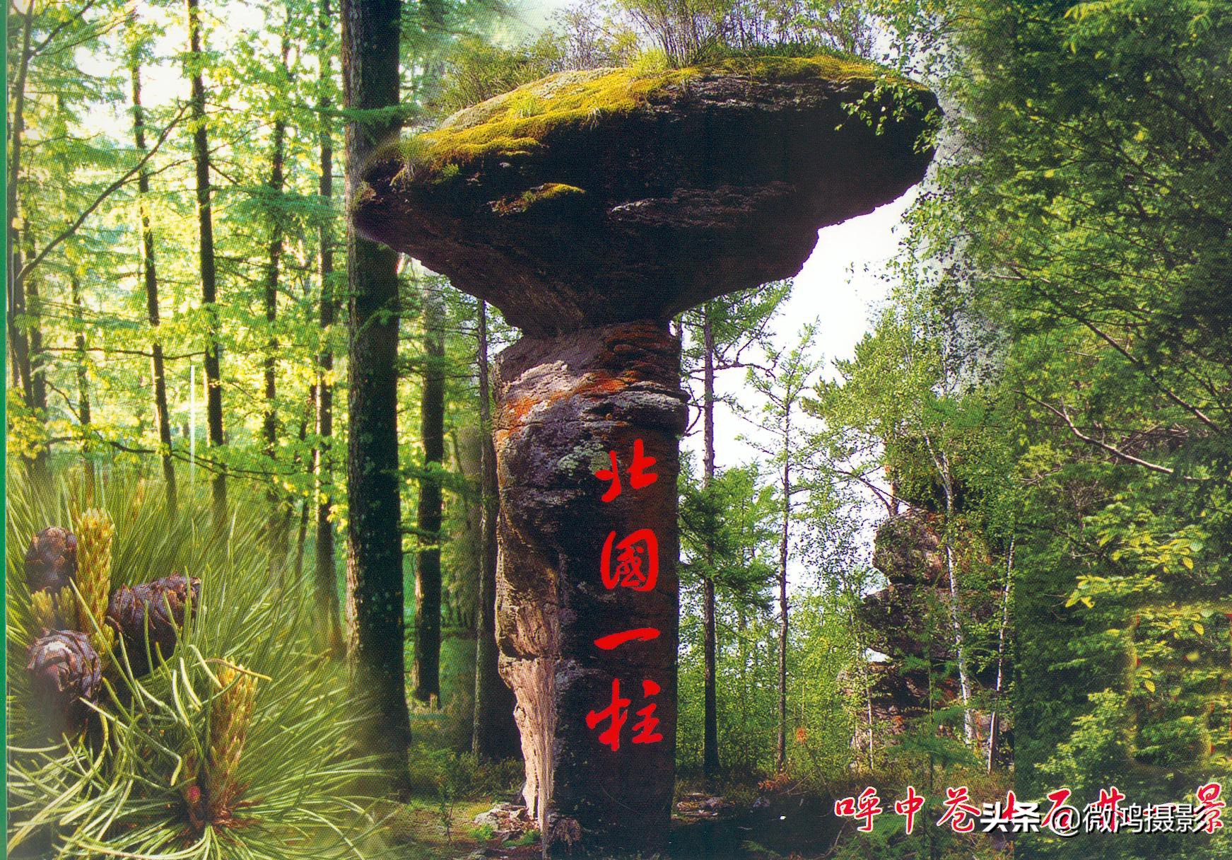 中国最北的石林,苍山石林图片