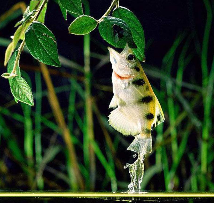 重庆汉海海洋公园入园攻略,汉海海洋公园重庆研学旅行