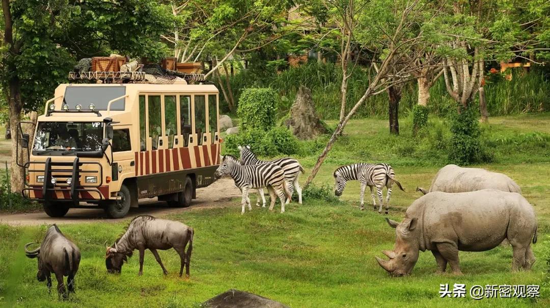 银基动物王国免门票吗,银基动物王国试营业直播