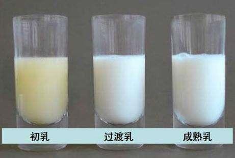哺乳期结束身体有哪些变化,哺乳期结束以后胸部变化