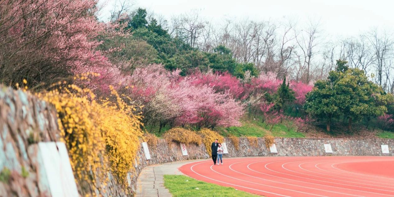 南京工业大学2021年大学排名,南京工业大学各榜排名