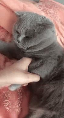 搞笑gif段子因为爱情所以共患难,搞笑gif段子小伙子你谈恋爱了吗