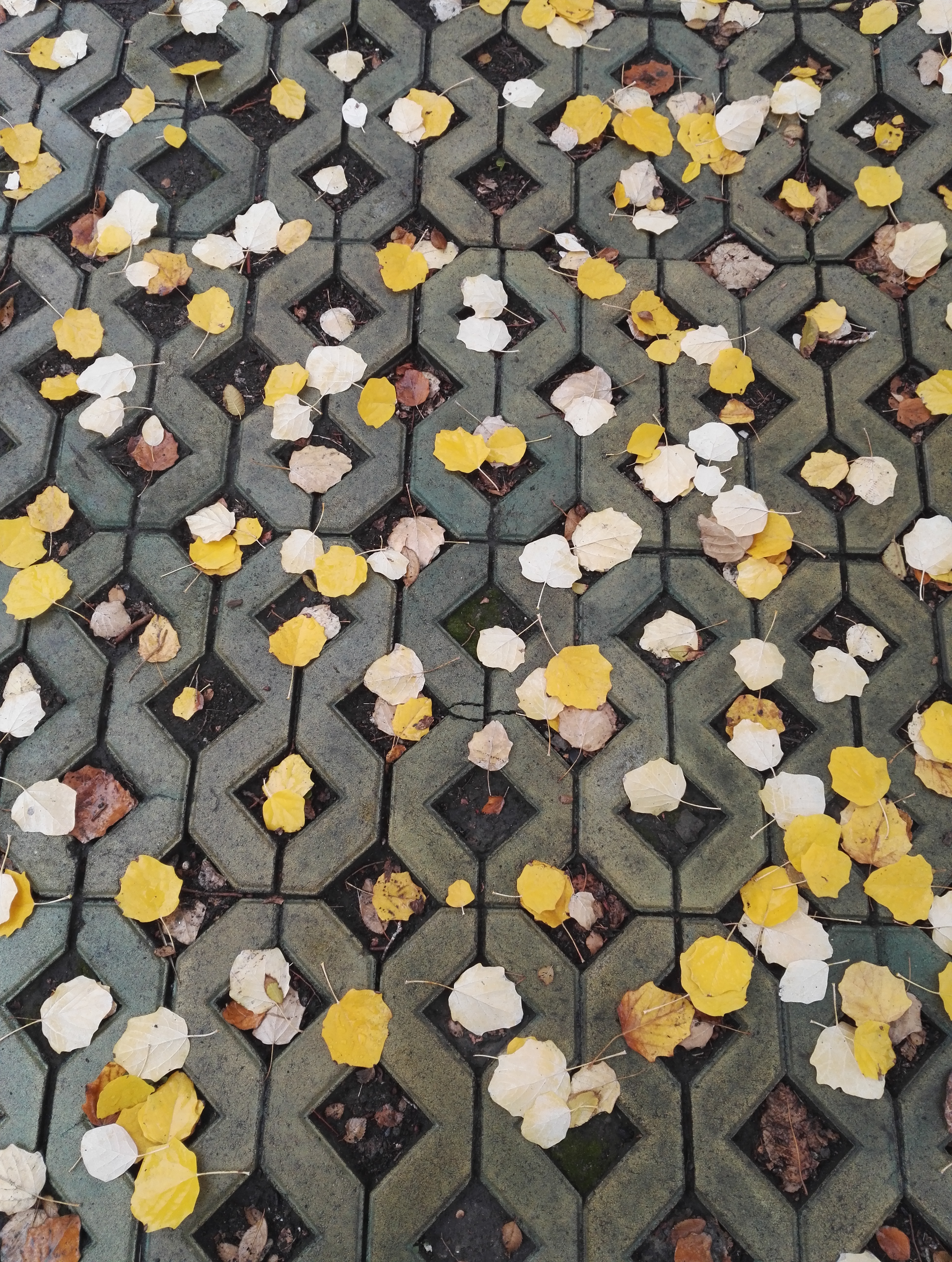 童书出版妈妈幸福教师培训感想