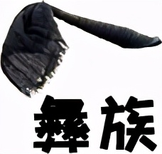 贵州省少数民族方言,贵州人的语言