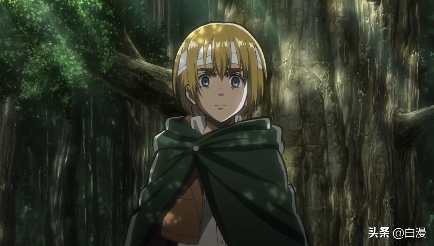 阿尔敏威胁贝尔托特救阿尼,阿尔敏喜欢阿尼是因为贝尔托特吗