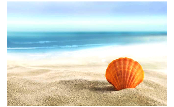 品牌seo推广哪个品牌好,品牌推广活动方案seo教程怎么写