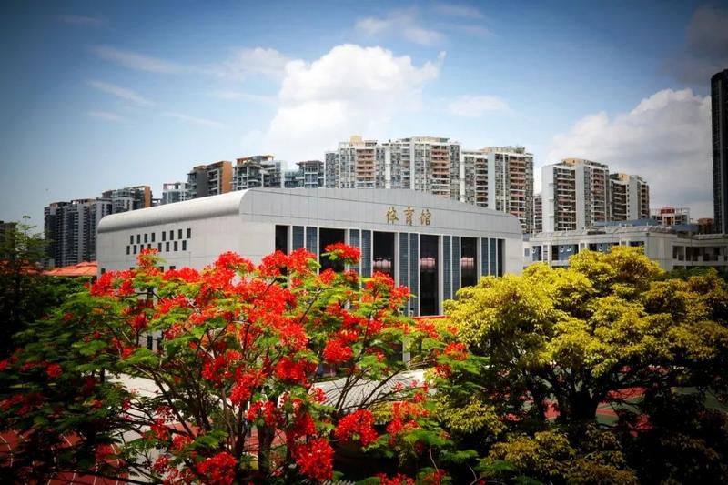 新安中学集团成员,2017新安中学集团高中部