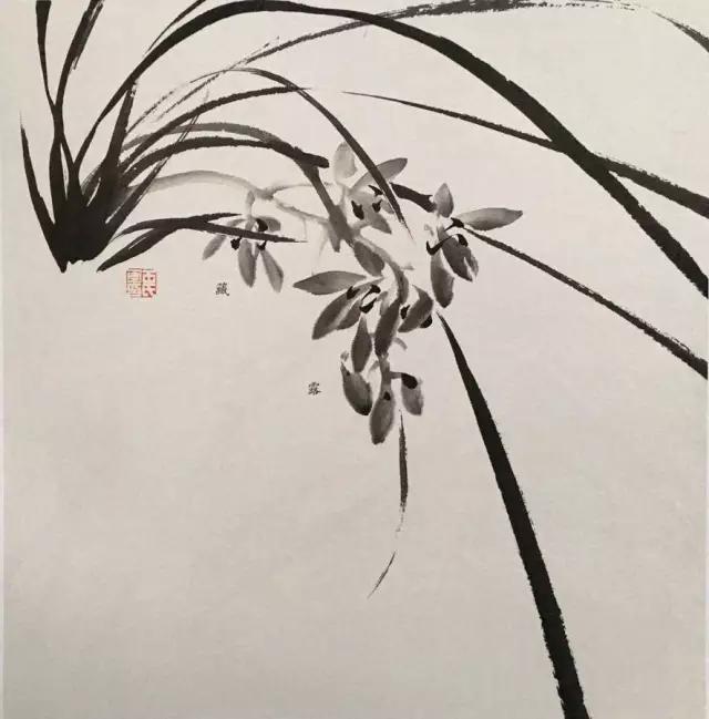 国画兰花绘画图,简单国画兰花画法教程