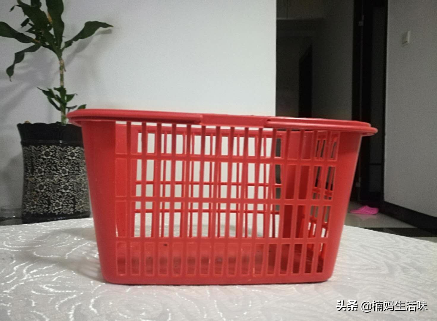 樱桃吃不完冷冻,樱桃吃不完怕烂怎么办