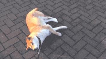 疫情怎么帮娃洗澡,疫情期间怎样在家洗澡