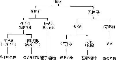 七年级上科学8-11章知识点总结,七年级上册华东师大版科学知识点