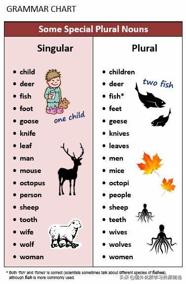 名词复数变化规则发音,名词复数变化规则的思维导图