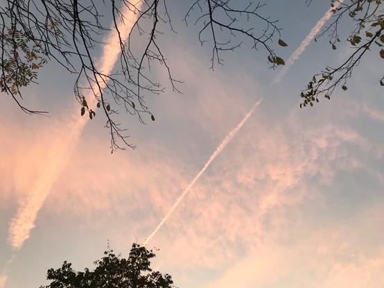 考研倒计时70天做的就是全力以赴,考研倒计时4天