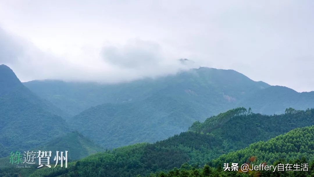 拍贺州｜莲塘镇大山深处的“一号基地”