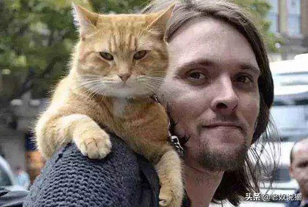 养猫能改善抑郁症，这是真的吗？