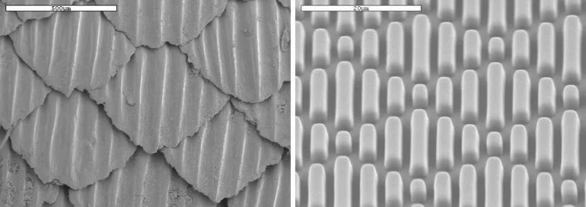 罗永浩发布会直播全程回放2018,罗永浩的老人与海黑科技发布会