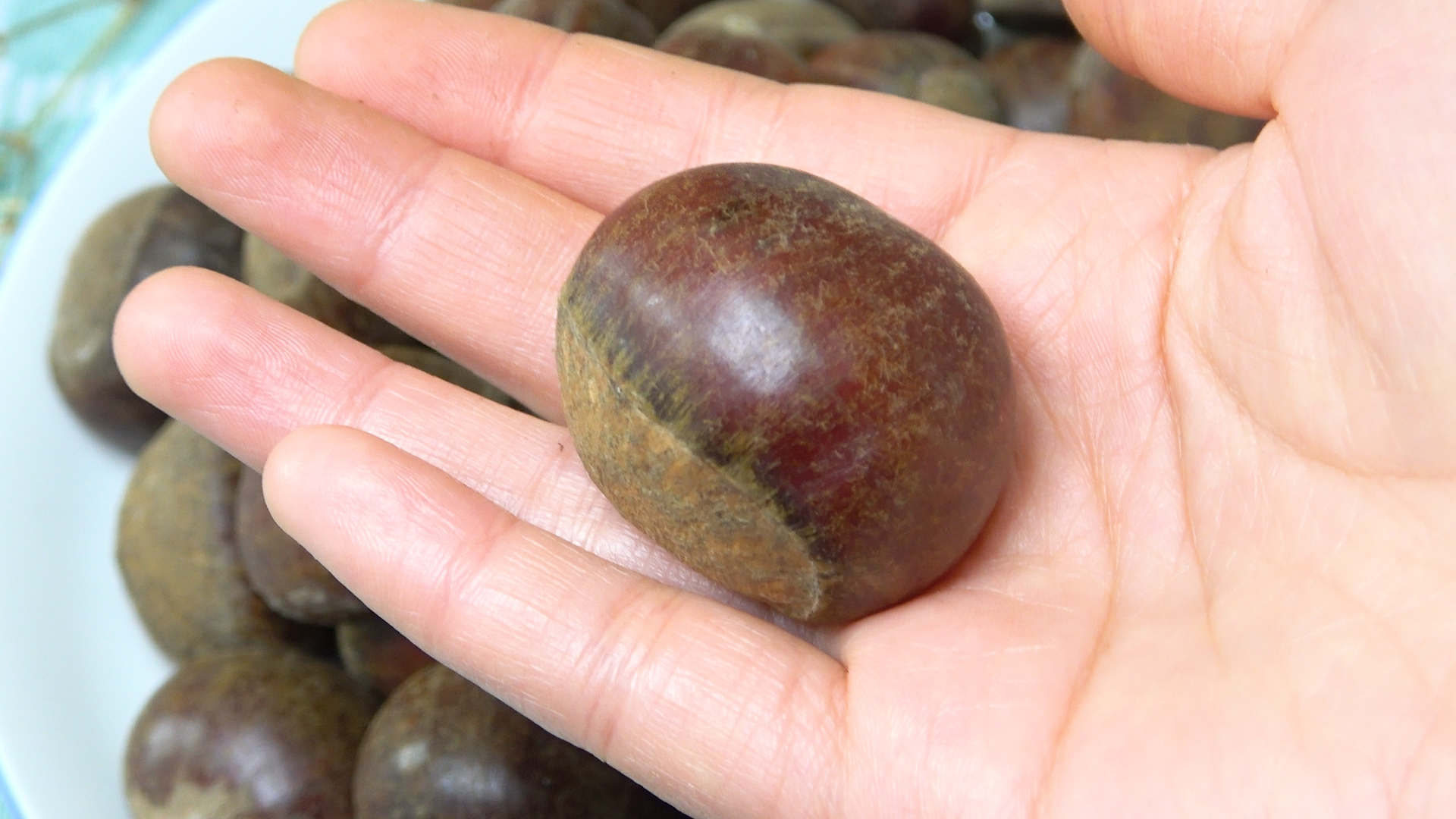 买板栗要带壳还是不带壳,买板栗挑扁的还是圆的