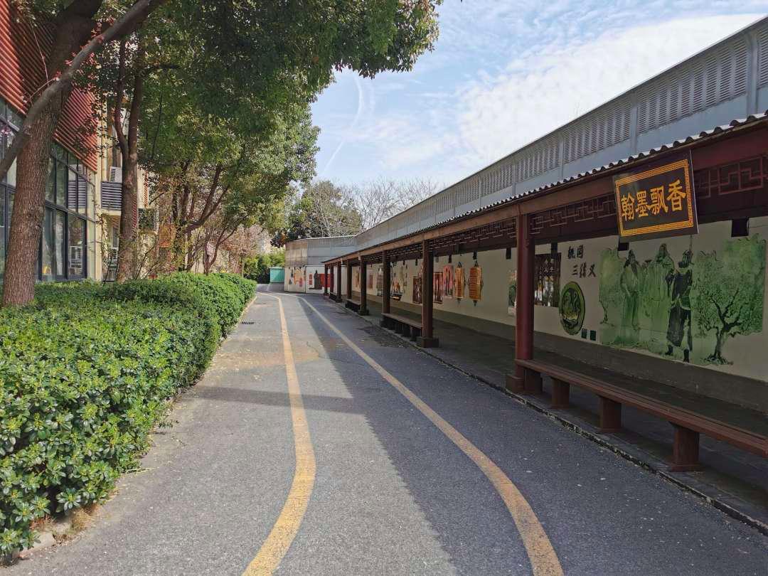 合肥稻香村小学办学特色,合肥市稻香村小学怎么样