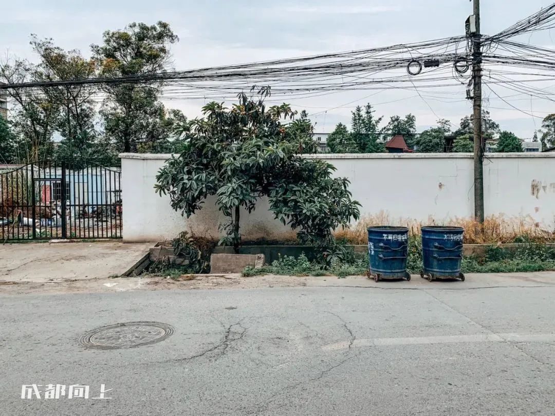 新繁发展不起来的原因,新繁最近发生的事