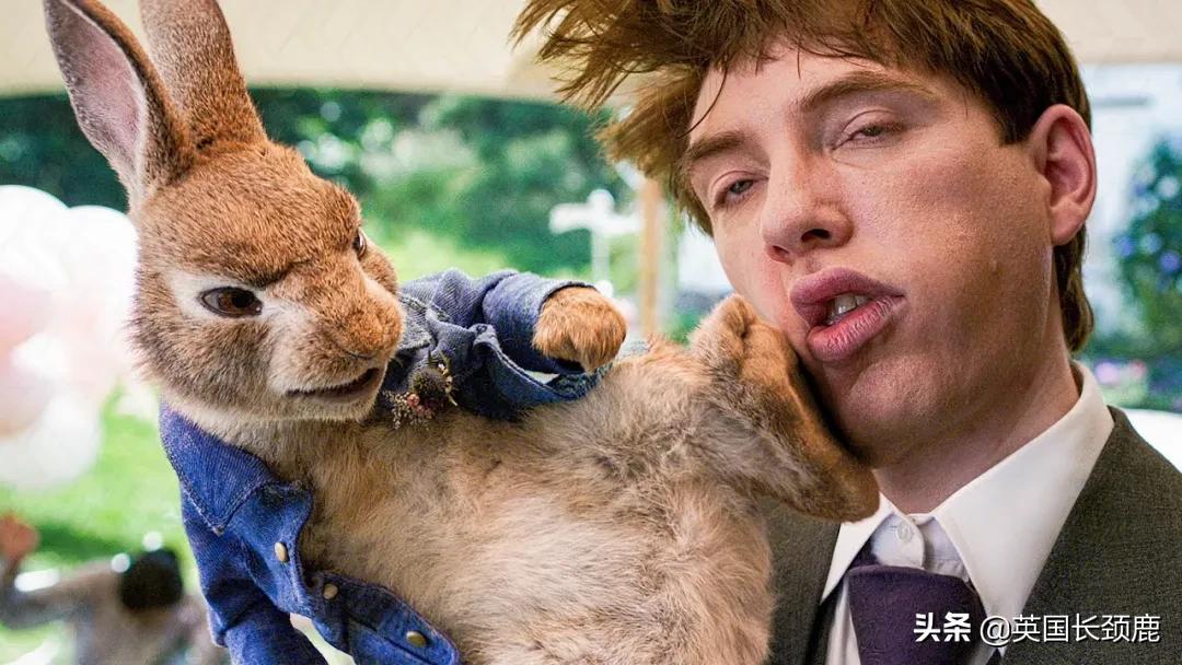 哥斯拉大战黑寡妇免费完整版,哥斯拉三大怪兽大战黑寡妇