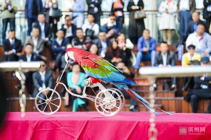 2018时光已走滨州日报90后小美摄影记者定格了您的最美