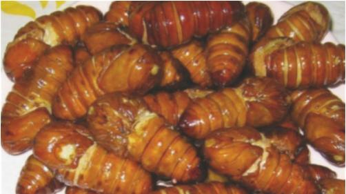 丹东旅游攻略美食推荐,丹东旅游攻略最详细