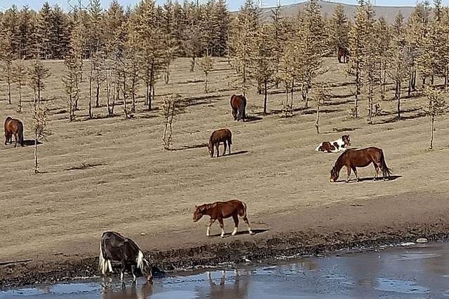 从四子王旗到牧区要走多少公里,呼市从四子王旗徒步回家