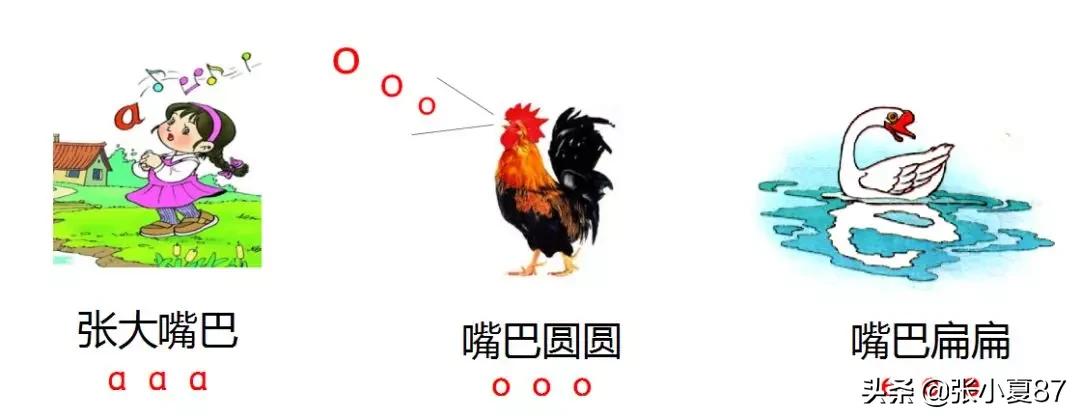 学拼音声母和韵母整体认读,幼小衔接拼音声母和韵母拼读技巧