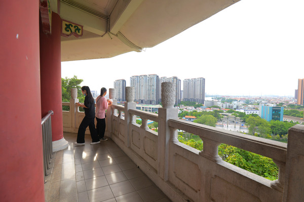 湿地公园菊展在哪,中山菊展一日游